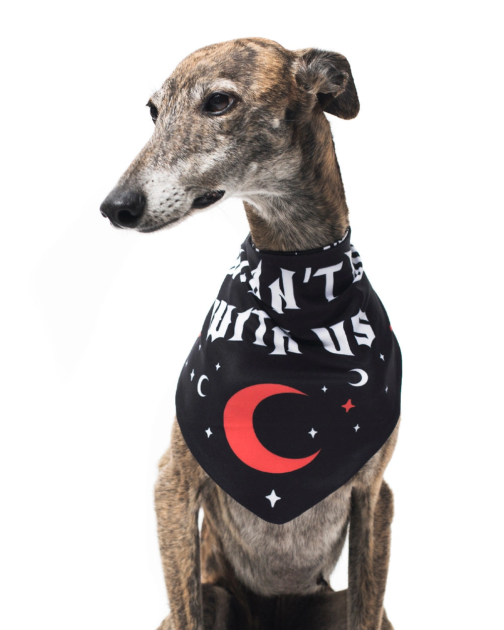 Meidän kanssamme et kaiva! Lemmikki bandana - Koirat ja kissat, hauska ja tyylikäs!
